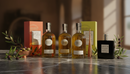 Extra Virgin Olive Oil - Salonenque