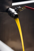 Picholine Extra Virgin Olive Oil