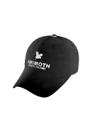 Signature Ball Cap