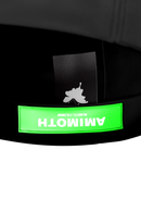 Signature Ball Cap