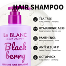 Perfume Premium Hair Shampoo 300ml / 10.1 fl. oz.